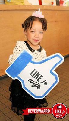 Foto 437 uit LIKEJEWIJK FOTO'S_2