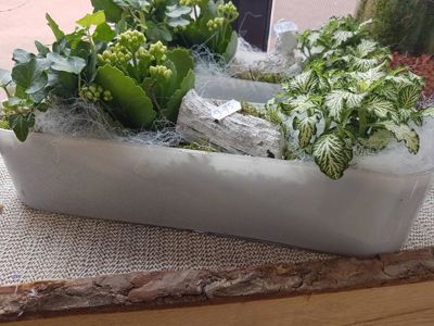 Foto 187 uit NeelyshaBloemen