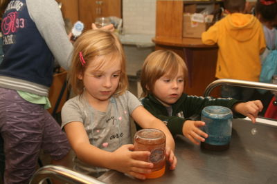 Foto 257 uit Frozen World Focus