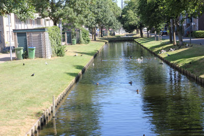 Foto 19 uit MooisUitBeverwaard