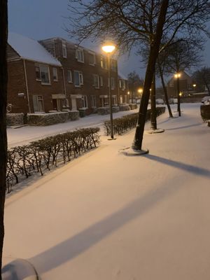 Foto 267 uit WinterIn Beverwaard