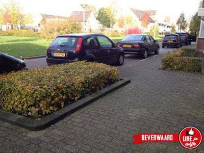 Foto 272 uit LIKEJEWIJK FOTO'S_2