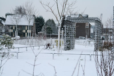 Foto 202 uit WinterIn Beverwaard