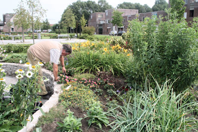 Foto 328 uit TropischeTuin 2017