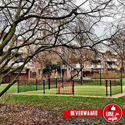 Foto 667 uit LIKEJEWIJK FOTO'S_2