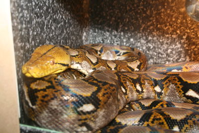 Foto 81 uit HaLLoWeeN29_10_11