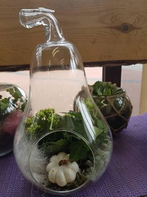 Foto 319 uit NeelyshaBloemen